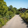 Naturheilpraxis im ländlichen Raum: Herausforderungen, Chancen und Unterschiede zur Stadt