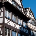 Historische Hausmittel: Generationenwissen neu entdeckt
