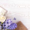Ringelblumensalbe selber machen: Traditionelles Rezept aus deutschen Apotheken