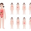 Naturheilkundliche Ansätze der Schlafhygiene: Deutsche Kräuter, Entspannungsrituale und Hausmittel
