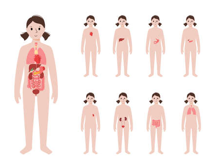 Naturheilkundliche Ansätze der Schlafhygiene: Deutsche Kräuter, Entspannungsrituale und Hausmittel