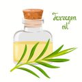 Aromatherapie für Anfänger: Grundlagen, Düfte und ihre Wirkung auf Körper und Geist