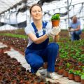 Alte Hausmittel neu entdeckt: Heilpflanzen aus dem eigenen Garten