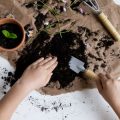 Pflanzenbasierte Ernährung und ihre Wirkung auf chronische Entzündungen
