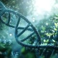 Moderne Psychoneuroimmunologie: Geist und Körper im Zusammenspiel für mehr Gesundheit