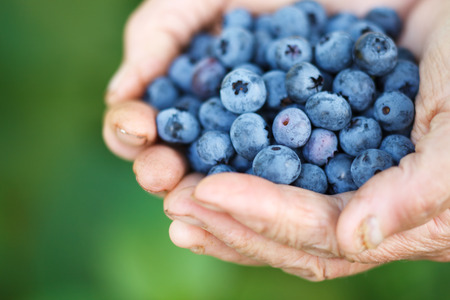 Regionale Superfoods: Wie du deutsche Superfoods in deine Ernährung integrierst