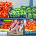 Der eigene Apothekergarten: Planung, Gestaltung und Umsetzung