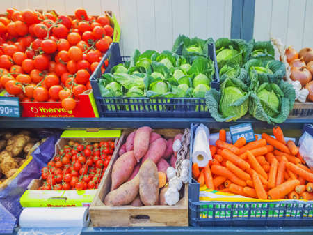 Der eigene Apothekergarten: Planung, Gestaltung und Umsetzung