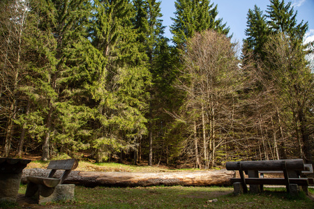 Waldbaden und Naturerfahrungen: Entschleunigung mit deutschen Landschaften