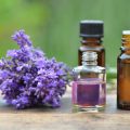 Heilpflanzen und ätherische Öle: Die beliebtesten Essenzen für Aromatherapie in Deutschland