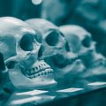 Die Rolle von Vorsorgeuntersuchungen in der deutschen Präventionskultur