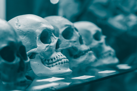 Die Rolle von Vorsorgeuntersuchungen in der deutschen Präventionskultur
