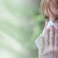 Heilpflanzen für die Atemwege: Befreiende Tees bei Husten, Asthma & Bronchitis