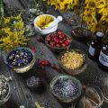 Blühende Vielfalt: Essbare Wildpflanzen und Blumen als regionale Superfoods