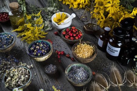 Blühende Vielfalt: Essbare Wildpflanzen und Blumen als regionale Superfoods